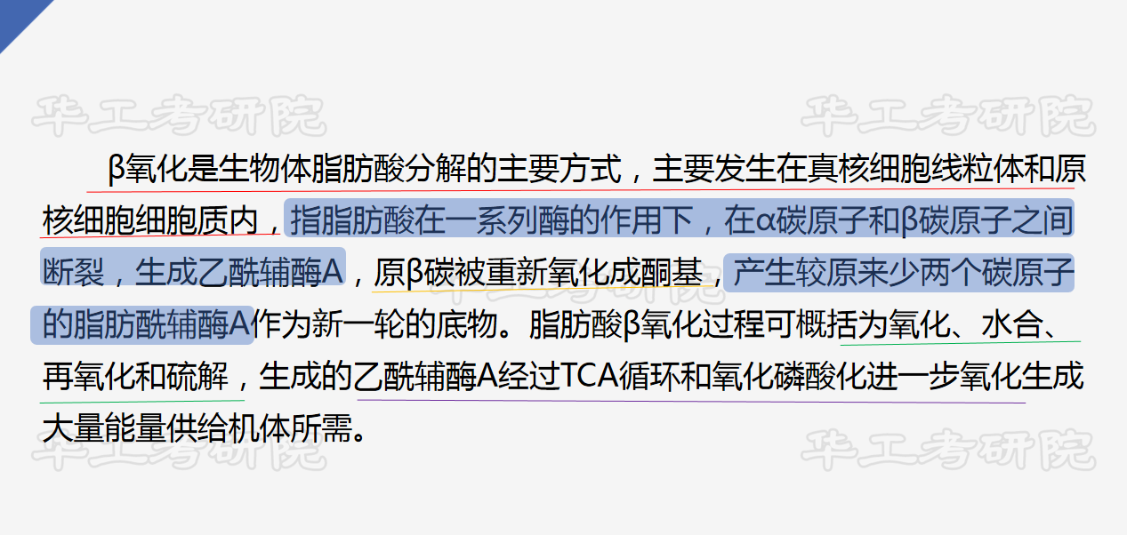 图片18.png